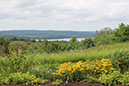 2018_08_21_tower_hill_08